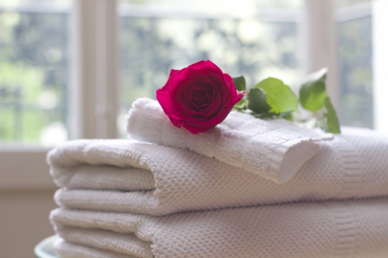 chambre-hote-ST ETIENNE DE TINEE-min_towel_rose_clean_care_salon_spa_white_bath-731641